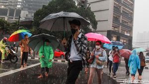 Potret Warga Basah-basahan Terobos Hujan di Pelican Crossing Tosari