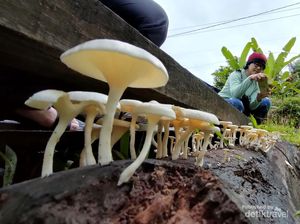 Berpetualang Singkat di Wisata Alam Pagat, Seru! Berpetualang Singkat di Wisata Alam Pagat, Seru!