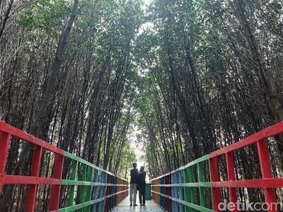 Foto: Hutan Mangrove di Banten yang Instagramable