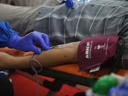 Urutan Peredaran Darah yang Benar pada Manusia, Pelajari Ya!