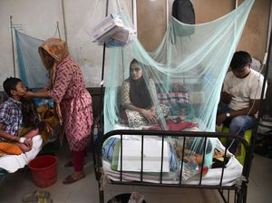 Demam Berdarah Serang Anak-anak di Bangladesh
