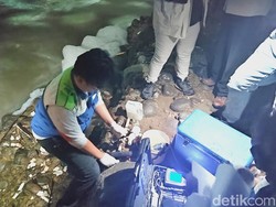 DLH-Polisi Ambil Sampel Air Sungai Berbusa di Citeureup Bogor