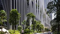 Wow! Bukan di Atas Tanah, 80.000 Tanaman Ini Tumbuh di Taman Langit