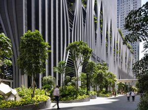 Wow! Bukan di Atas Tanah, 80.000 Tanaman Ini Tumbuh di Taman Langit