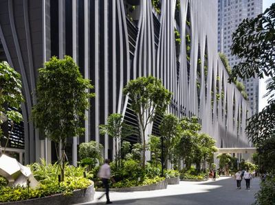 Wow! Bukan di Atas Tanah, 80.000 Tanaman Ini Tumbuh di Taman Langit