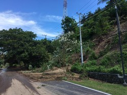 44 Ribu Hektare Hutan di Lombok Utara Rusak