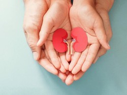 Dear Parents, Ini Tips Dokter Deteksi Dini Cegah Gagal Ginjal Anak