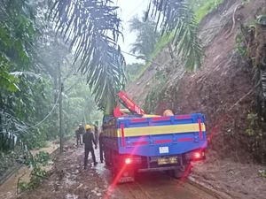 670 Hektar Sawah di Tabanan Terdampak Banjir-Longsor 670 Hektar Sawah di Tabanan Terdampak Banjir-Longsor