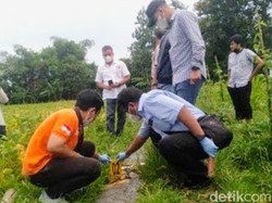 Mayat Bayi Perempuan Ditemukan di Saluran Irigasi Persawahan Situbondo