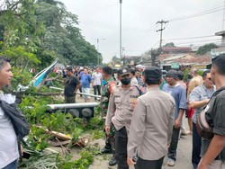 Pohon Tumbang di Pasar Cibinong Bogor Timpa Mobil dan 4 Motor