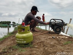 Siasat Cerdik Penambak Ikan di Indramayu Atasi BBM yang Mahal