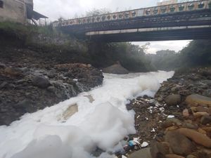 Sungai di Citeureup Bogor Berbusa, Begini Penampakannya