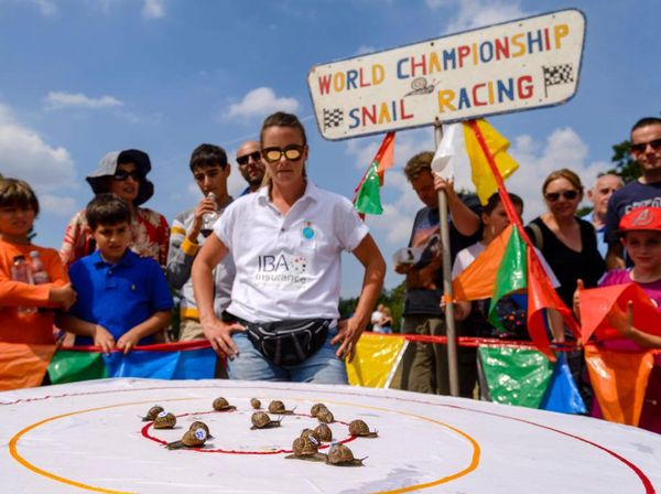 8 Lomba Balap Hewan Terunik Sedunia, Ada Siput-Kecoa