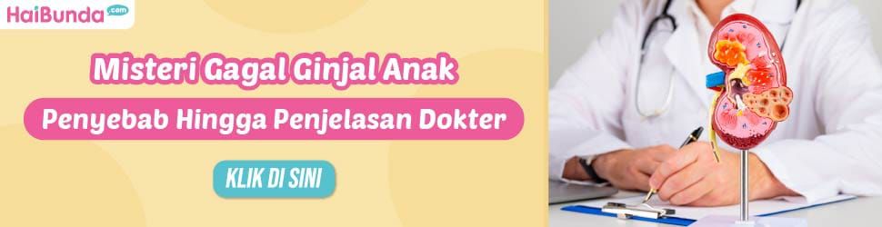 Banner Gagal Ginjal Akut