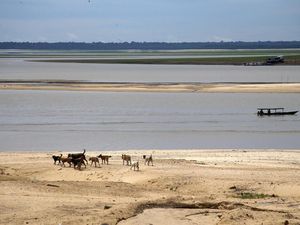 Lagi, Salah Satu Sungai Terpanjang di Dunia Mengering