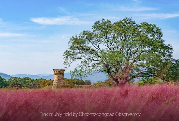 Gyeongju, kota sejarah yang semakin cantik ketika musim gugur tiba.