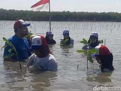 Pesisir Pantura Diprediksi Hilang 2030, Abrasi Kini Gerus 2 Ribu Ha di Brebes
