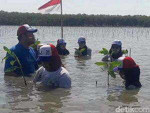 Pesisir Pantura Diprediksi Hilang 2030, Abrasi Kini Gerus 2 Ribu Ha di Brebes Pesisir Pantura Diprediksi Hilang 2030, Abrasi Kini Gerus 2 Ribu Ha di Brebes