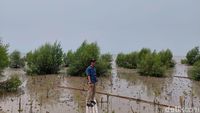 Miris Banget! Serang Dulu Punya Pantai Pasir Putih, Kini Tanah Berlumpur