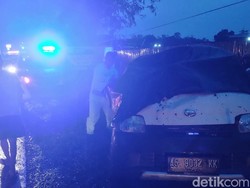 Pohon Roboh Timpa Pikap di Blitar, Dua Orang Tewas