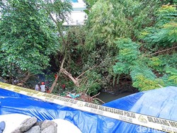 Berpotensi Sebabkan Banjir, 2 Pohon Ambruk ke Sungai Kota Blitar Dipotong
