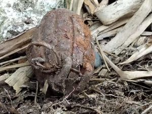 Benda Diduga Granat di Toraja Utara Gegerkan Warga, Brimob Turun Tangan Benda Diduga Granat di Toraja Utara Gegerkan Warga, Brimob Turun Tangan