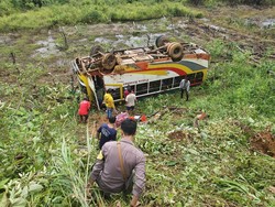 Tragis Bus Muat 35 Penumpang di Kapuas Hulu Terjun ke Jurang