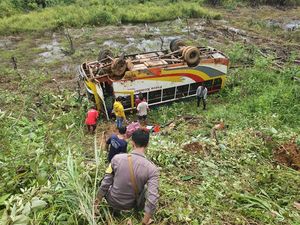 Kronologi Bus di Kalbar Terjun ke Jurang 8 Meter, Sopir Diduga Mengantuk Kronologi Bus di Kalbar Terjun ke Jurang 8 Meter, Sopir Diduga Mengantuk