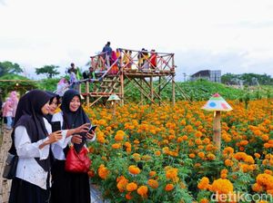 Flower Festival Padukan Wisata, Edukasi, dan Potensi Pertanian Banyuwangi Flower Festival Padukan Wisata, Edukasi, dan Potensi Pertanian Banyuwangi