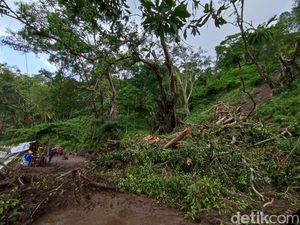 Longsor di Ponorogo Putus Jalan Desa dan Akses Menuju Telaga Ngebel Longsor di Ponorogo Putus Jalan Desa dan Akses Menuju Telaga Ngebel