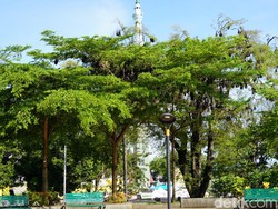 Peraturan Daerah Pelindung Kelelawar yang Setia Bergelantungan di Soppeng