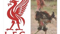 Meme Liverpool Jadi Ayam Sayur Dilibas Nottingham Forest