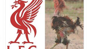 Meme Liverpool Jadi Ayam Sayur Dilibas Nottingham Forest