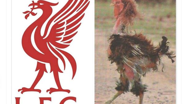Meme Liverpool Jadi Ayam Sayur Dilibas Nottingham Forest