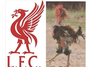 Meme Liverpool Jadi Ayam Sayur Dilibas Nottingham Forest