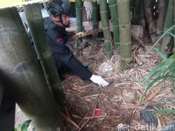 Granat Temuan Warga Torut Dipastikan Masih Aktif, Diduga Peninggalan Belanda