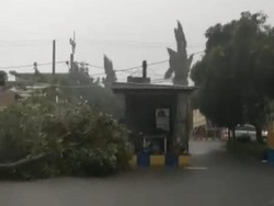 Puting Beliung di Sidoarjo Sebabkan Kabel Putus- Pohon Tumbang Timpa Mobil