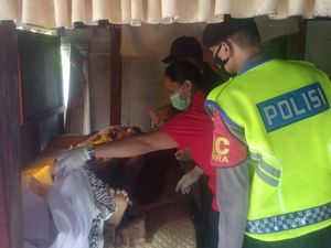 Petani Tabanan Tewas Terjatuh dari Pohon Kelapa Setinggi 10 Meter Petani Tabanan Tewas Terjatuh dari Pohon Kelapa Setinggi 10 Meter