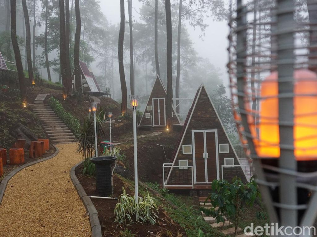 Locca Lodge Trawas, Sejuknya Glamping di Tengah Hutan Pinus Kaki Welirang