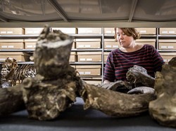 Sadar Salah, Eropa Kembalikan Barang-barang dari Negara Jajahan