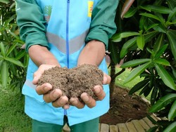 Peneliti Ungkap Pupuk FABA PLN Bisa Genjot Produksi Pertanian hingga 15%