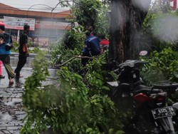 Identitas Pemotor Tertimpa Pohon Tumbang hingga Luka di Bundaran Aloha