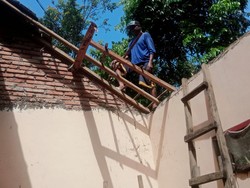 Hujan Lebat, Rumah Warga di Narmada Lombok Tertimpa Pohon Aren