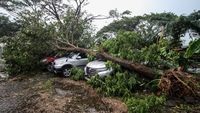 Sidoarjo Diamuk Puting Beliung, Pohon Tumbang Timpa Mobil