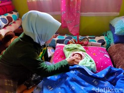 Bayi Perempuan Ditemukan di Kandang Sapi