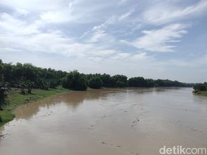 Waspada! Status Bengawan Solo Bojonegoro Siaga II Waspada! Status Bengawan Solo Bojonegoro Siaga II