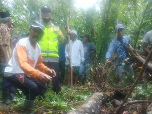 Tragis Wanita Jambi Hilang saat Menyadap Karet-Tewas Ditelan Ular Piton Tragis Wanita Jambi Hilang saat Menyadap Karet-Tewas Ditelan Ular Piton