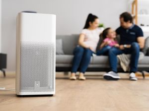 Jangan Keliru, Ini Bedanya Air Purifier, Humidifier, dan Dehumidifier Jangan Keliru, Ini Bedanya Air Purifier, Humidifier, dan Dehumidifier