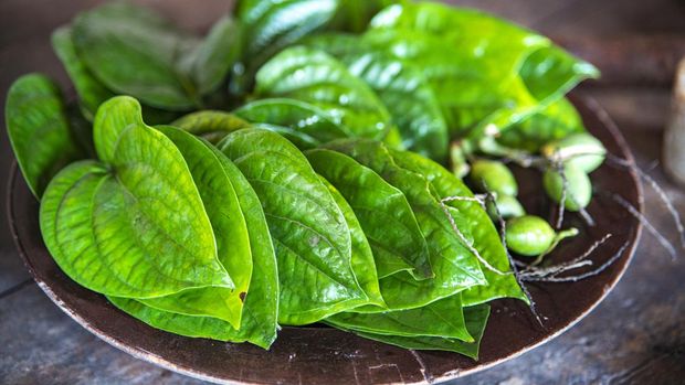 Betel and areca on the table northern Vietnam