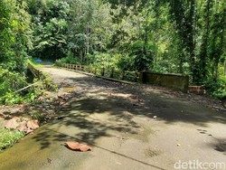 Cerita Horor Jembatan Bolong Mamuju, Jalan Angker yang Meminta Tumbal